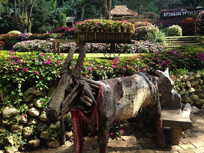 Exploring Chiang Rai Mountains & Baan Hloyo (Pickup City)