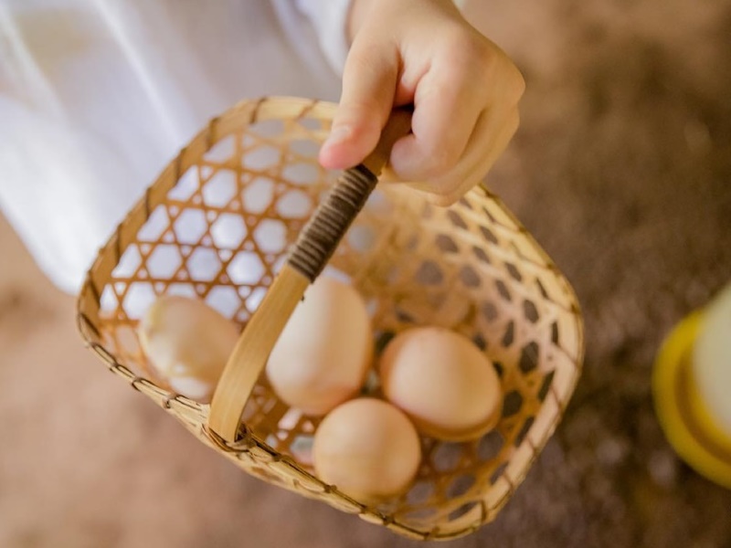 Farm-to-Table Dinner Experience by Jampa