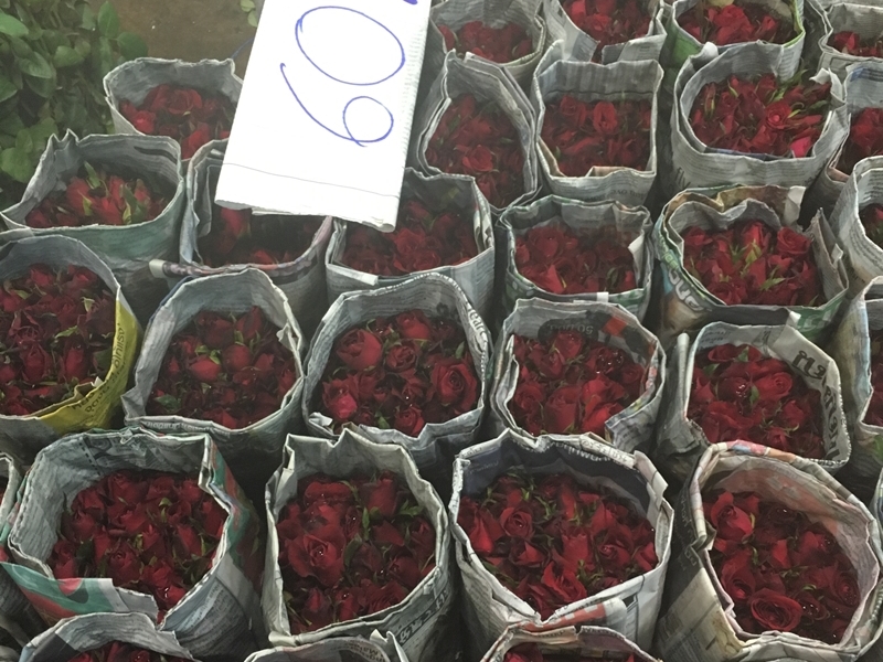 Glowing Bangkok (Public Transport)