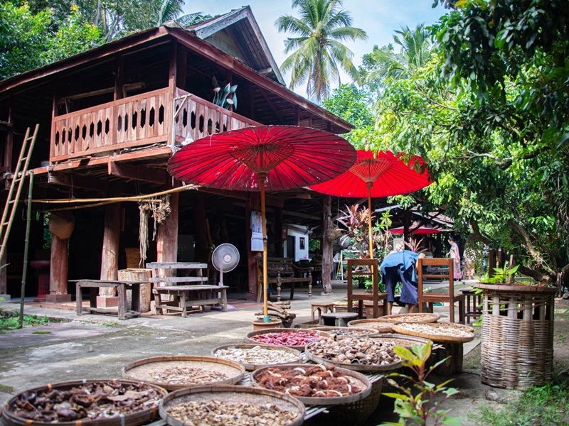 Intimate Cooking and Dining Cultural Experience