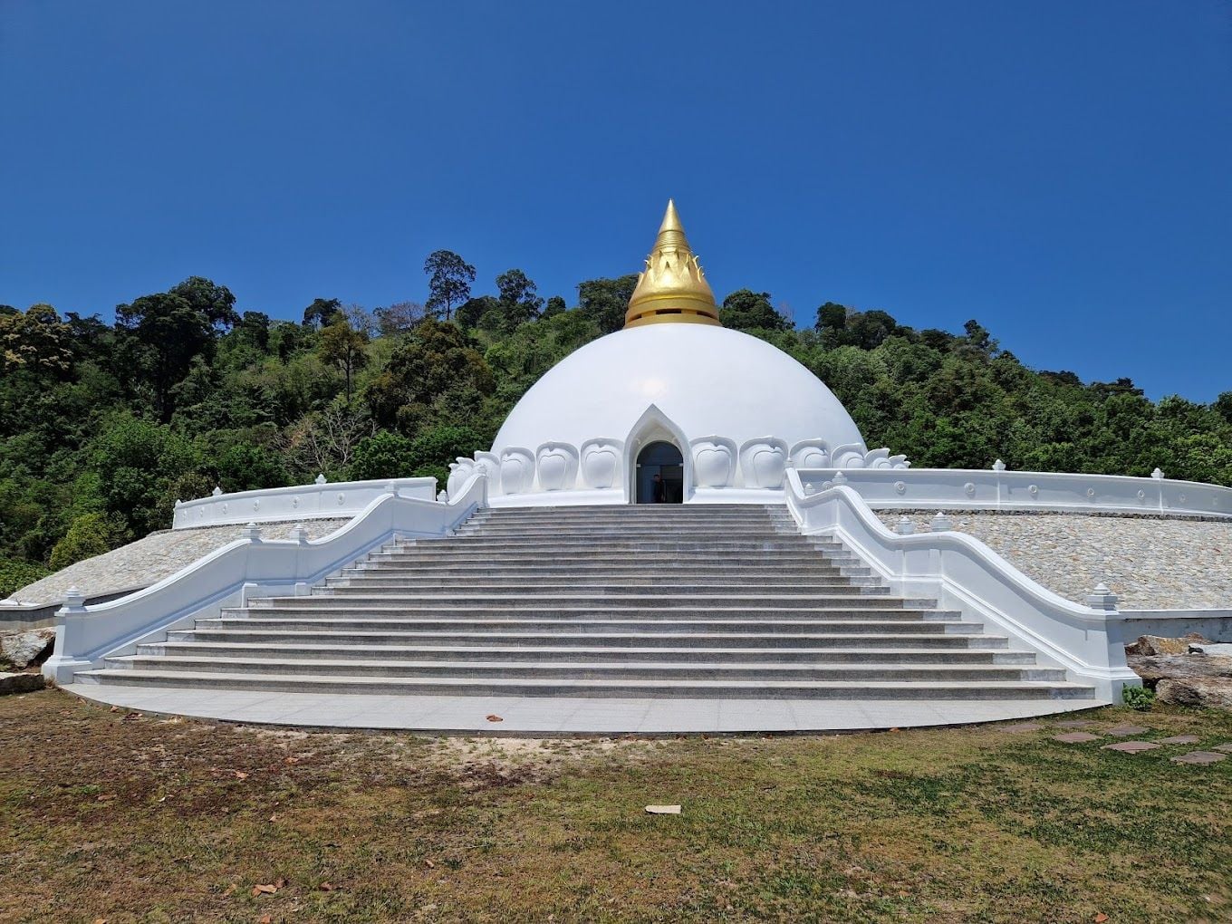 Image of Introduction to Buddhism