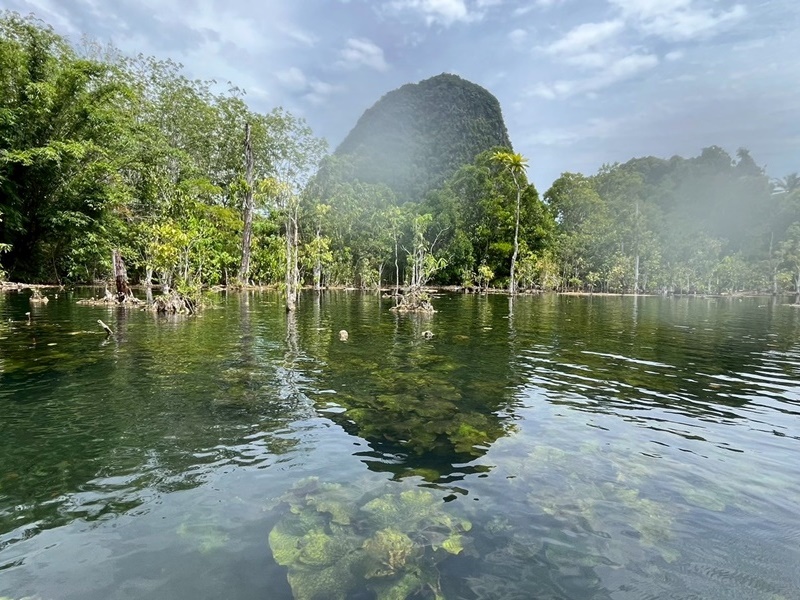 Kayaking Krabi’s Hidden Waterways