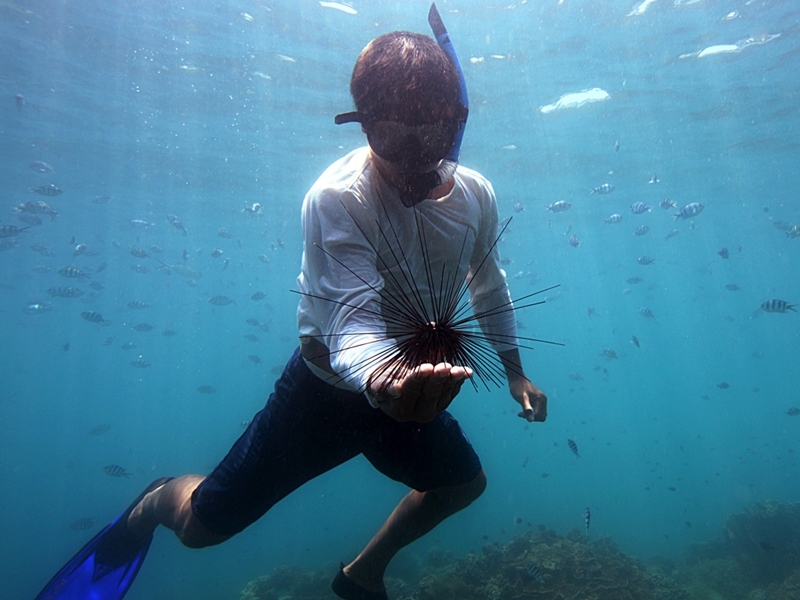 Kayaking & Snorkeling at Angthong by Speed Boat (SIC)