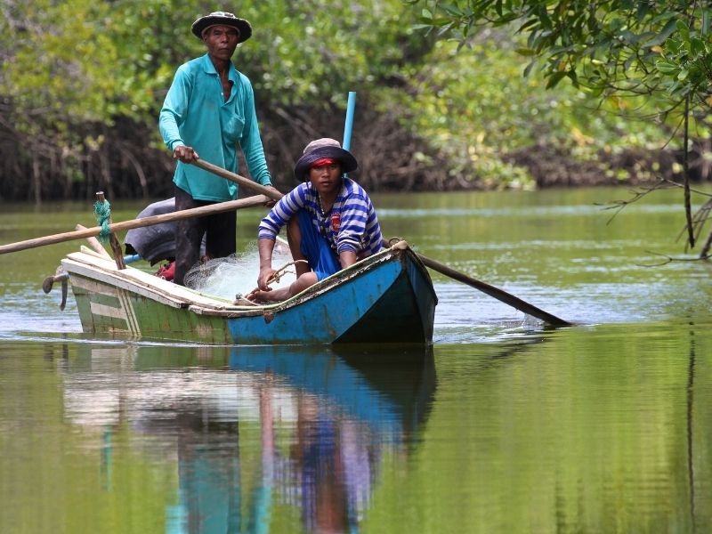 Khao Lak Mangrove Explorers