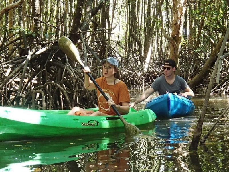 Khao Lak Mangrove Explorers