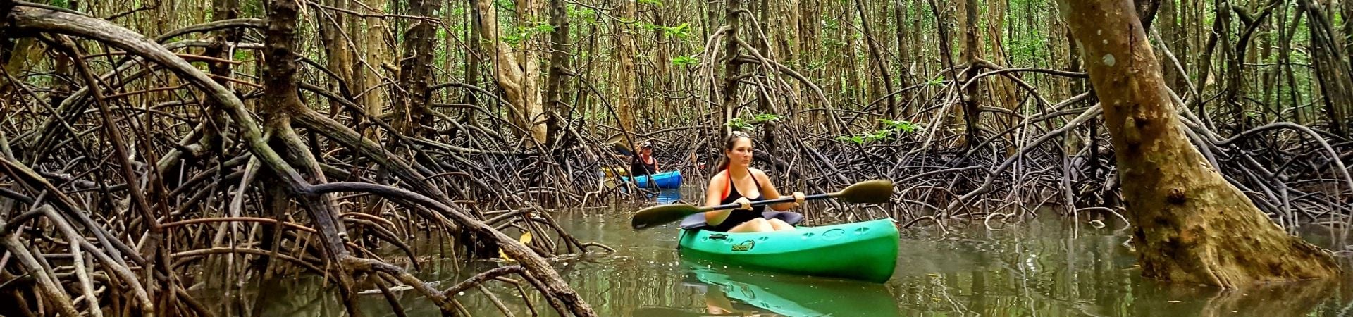 Image of Khao Lak Mangrove Explorers