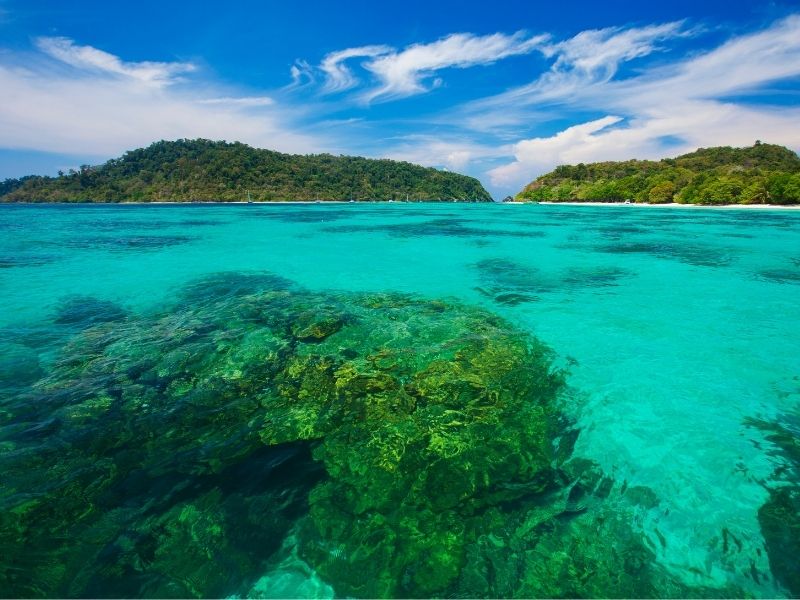 Koh Rok Island By Speed Boat (Join In Tour)