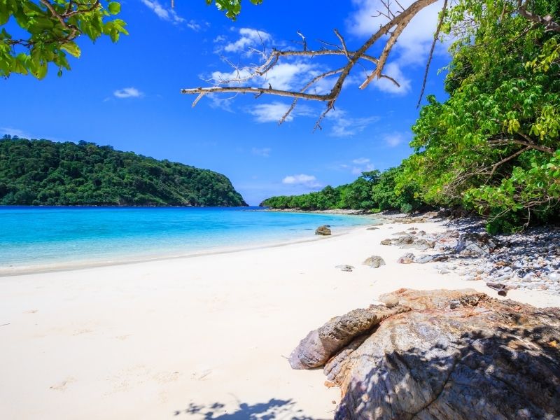 Koh Rok Island By Speed Boat (Join In Tour)