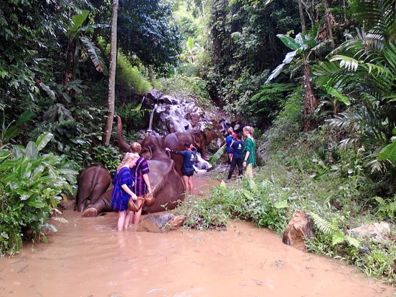 Scenic Transfer from Chiang Mai to Chiang Rai