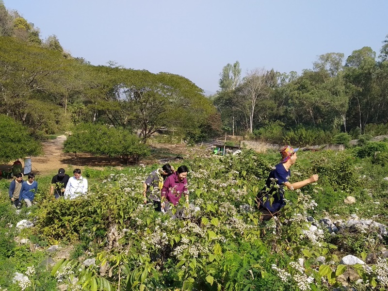 Local Creative Community Experience