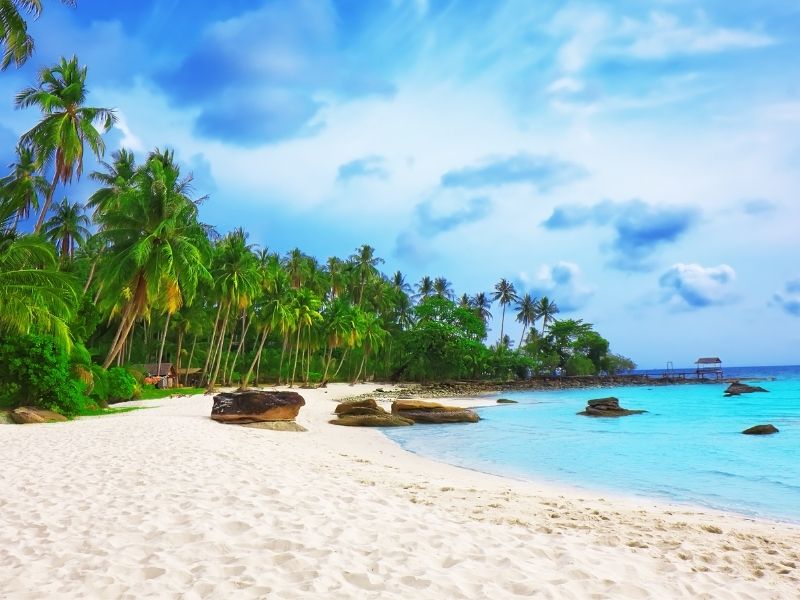 Local Reef Snorkeling & Deserted Beach