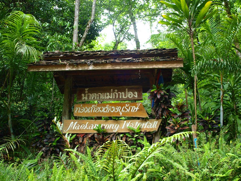 Mae Kampong Eco Tour