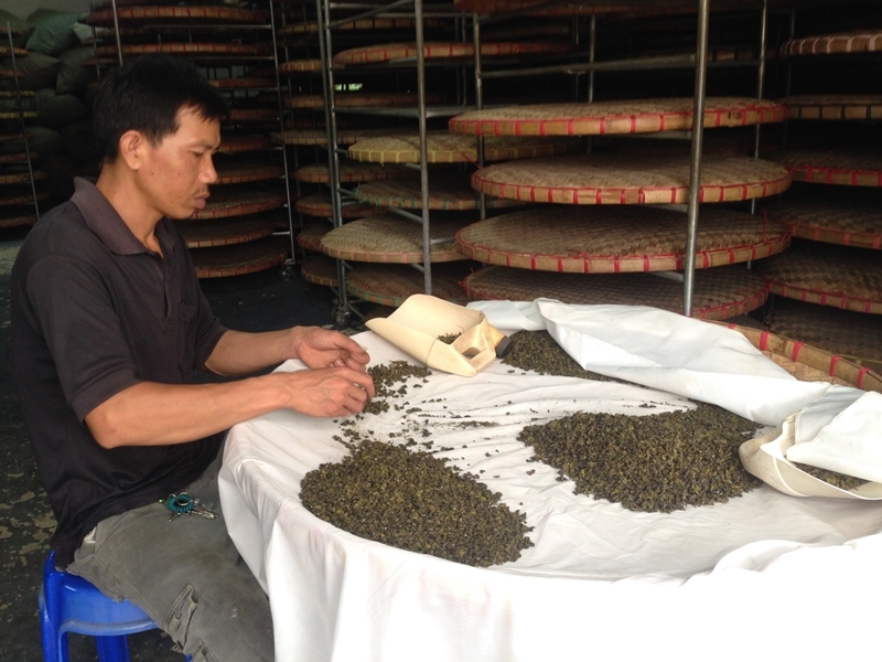 Mae Salong Hilltribes (Pick up in City)