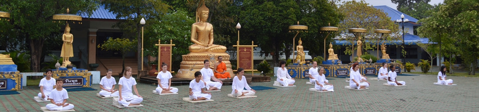 Image of Meditation & Monk Chat at Wat Suan Dok