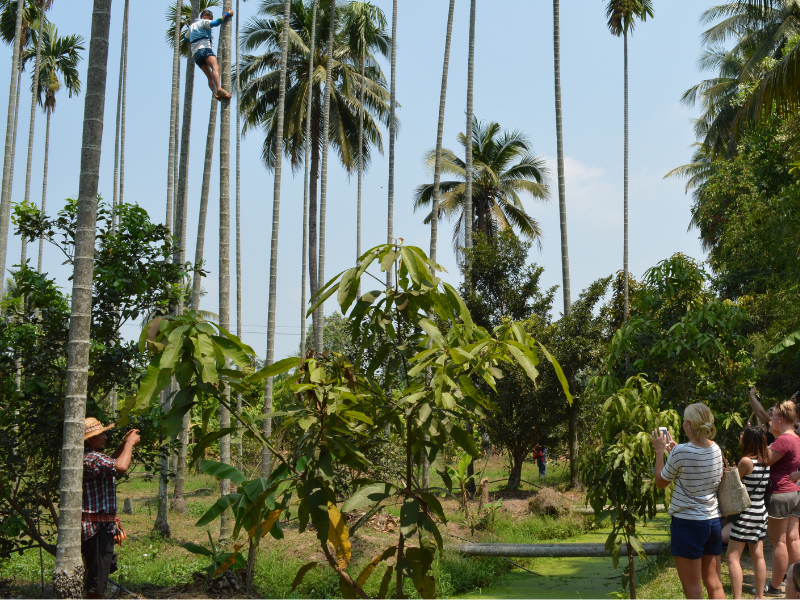 Nakhon Pathom Insight by Train
