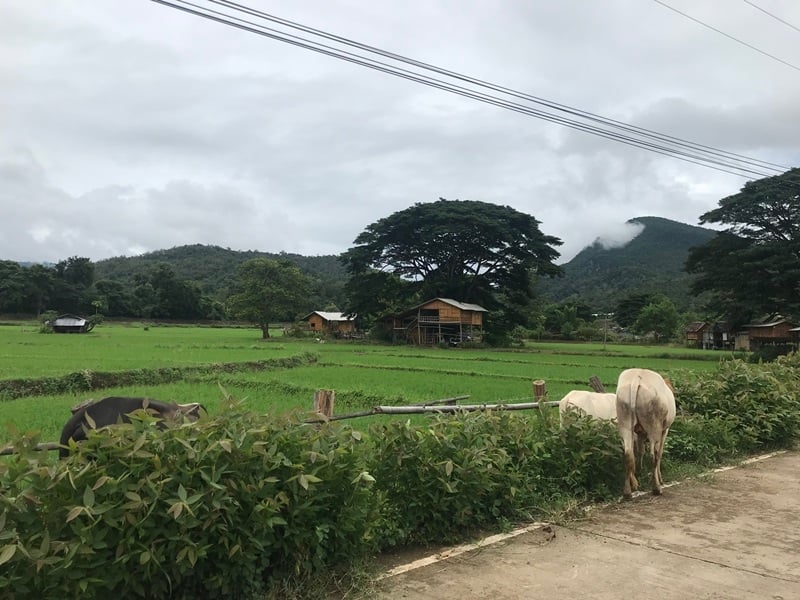 Off-Road Sightseeing Transfer Pai to Chiang Mai (Reverse)