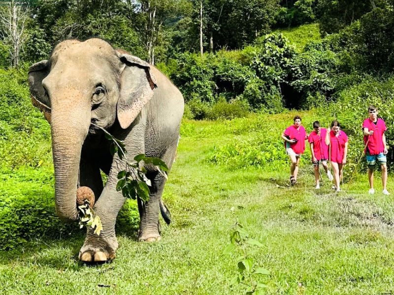 One Day Joy Elephant Sanctuary