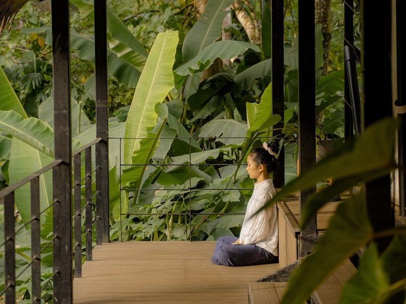 One Day Jungle Meditation Retreat