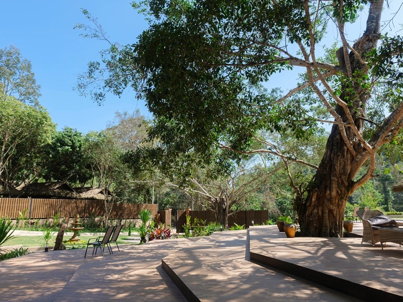 One Day Jungle Meditation Retreat