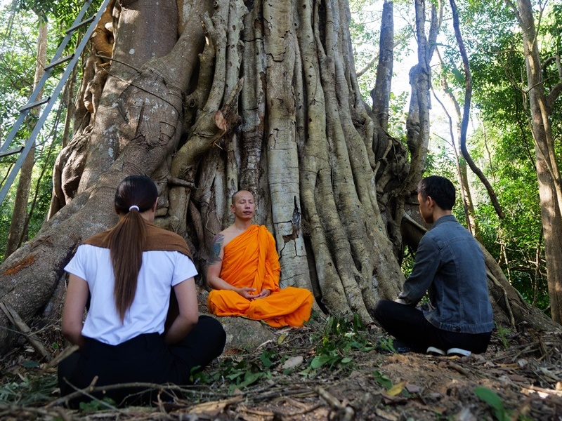 One Day Jungle Meditation Retreat