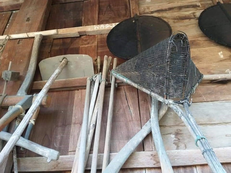 Organic Farming and Cooking