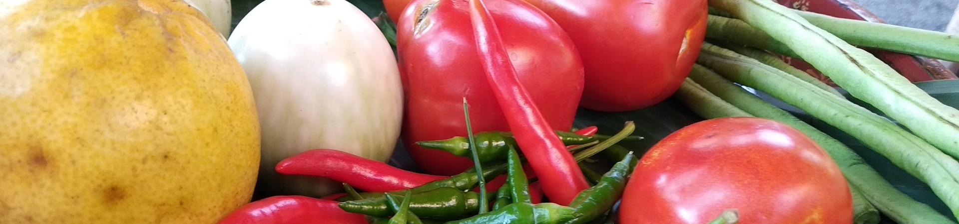 Image of Organic Farming and Cooking