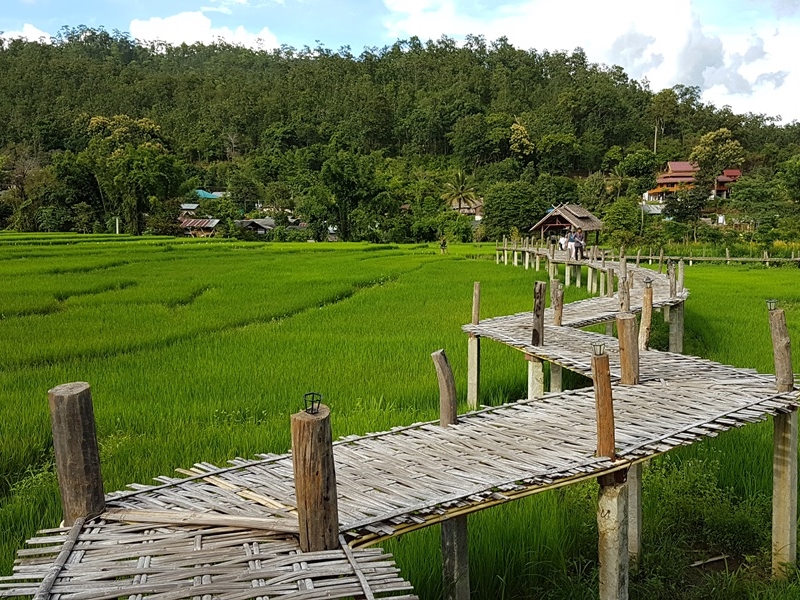 Pai Sightseeing with Sunset Picnic