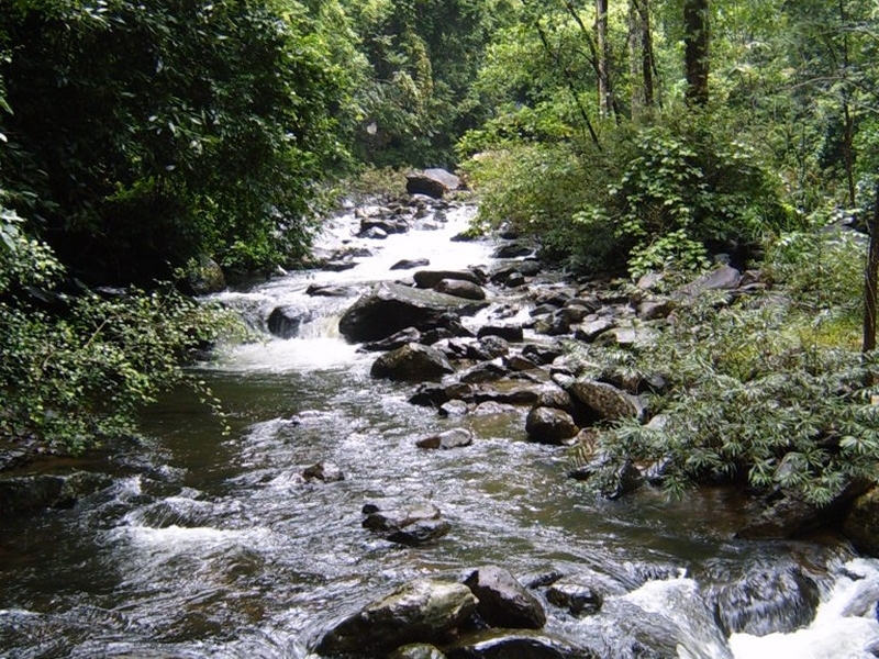 Pala-U Waterfall Incl.Trsf