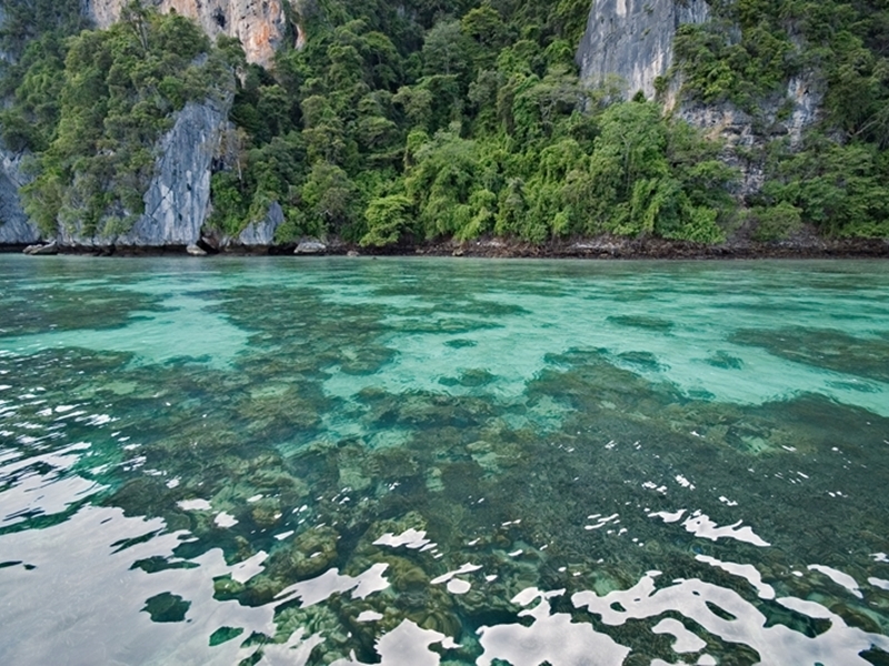 Phi Phi Island by Join-In Speedboat (Phuket)