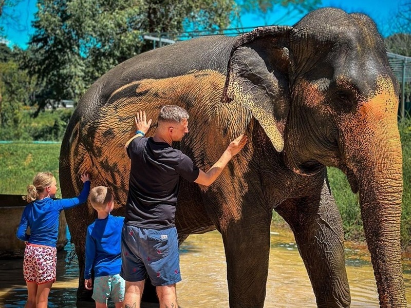Phuket’s Ethical Elephant Care Experience