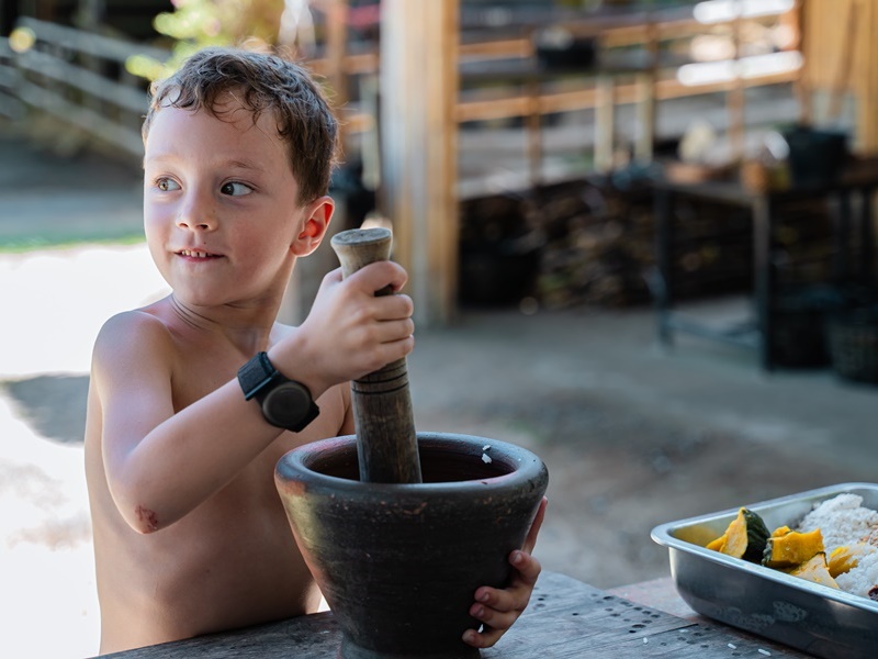 Phuket’s Ethical Elephant Care Experience