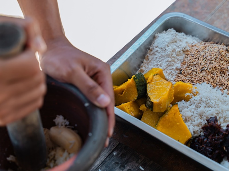 Phuket’s Ethical Elephant Care Experience