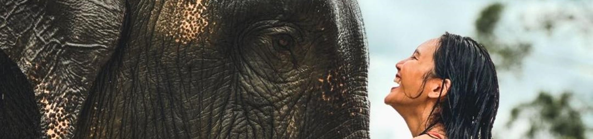 Image of Phuket’s Ethical Elephant Care Experience