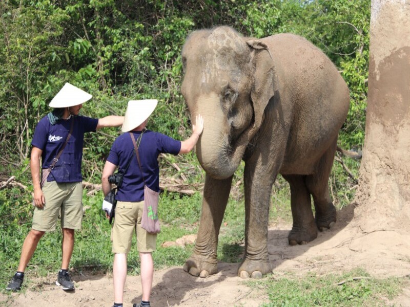 Samui Elephant Kingdom (SIC)