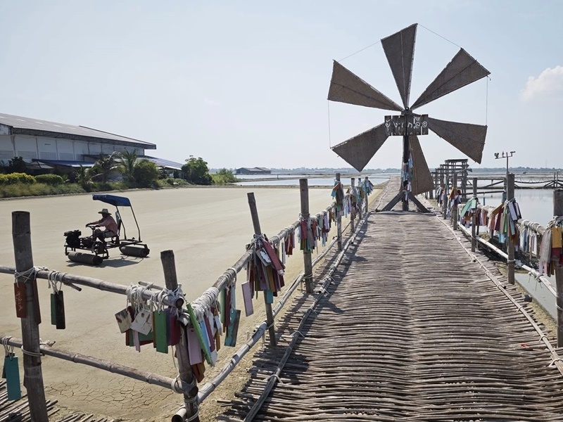 Scenic Drive & Salt Flat Discovery