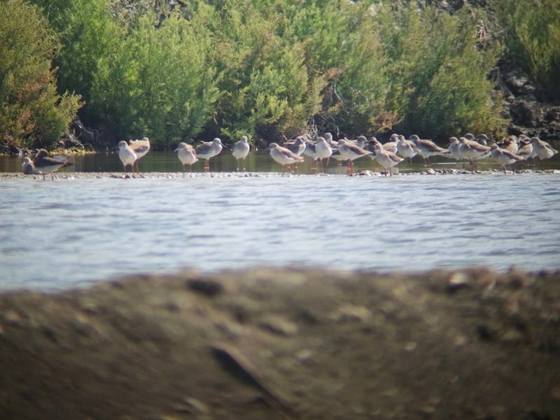 Scenic Drive & Salt Flat Discovery