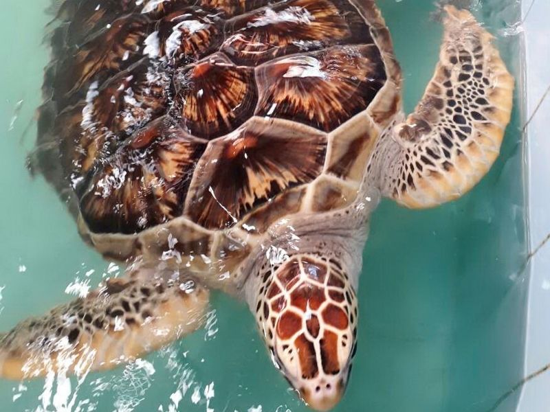 Shoreline Cruise & Secluded Beach