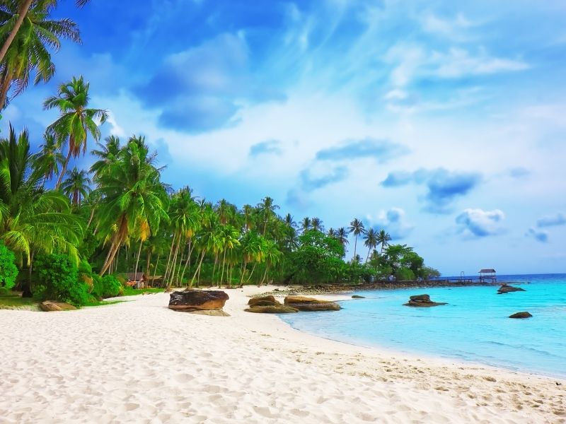 Shoreline Cruise & Secluded Beach