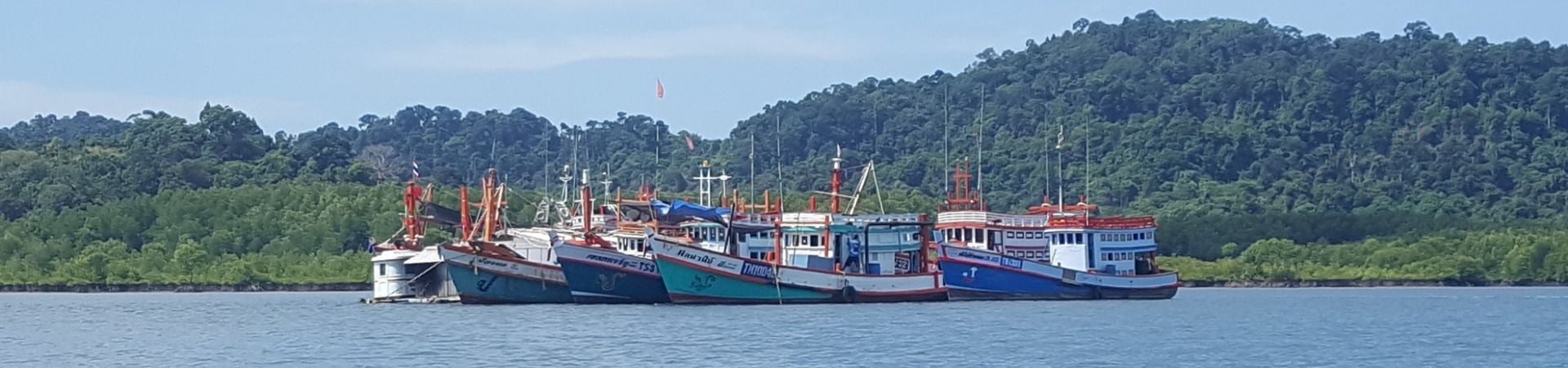 Image of Shoreline Cruise & Secluded Beach