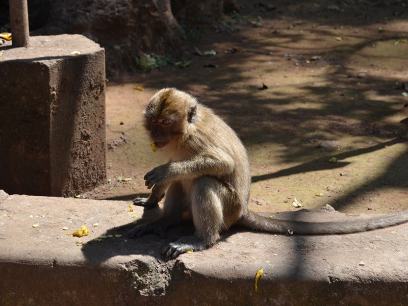 Sightseeing Krabi to Phuket by Road