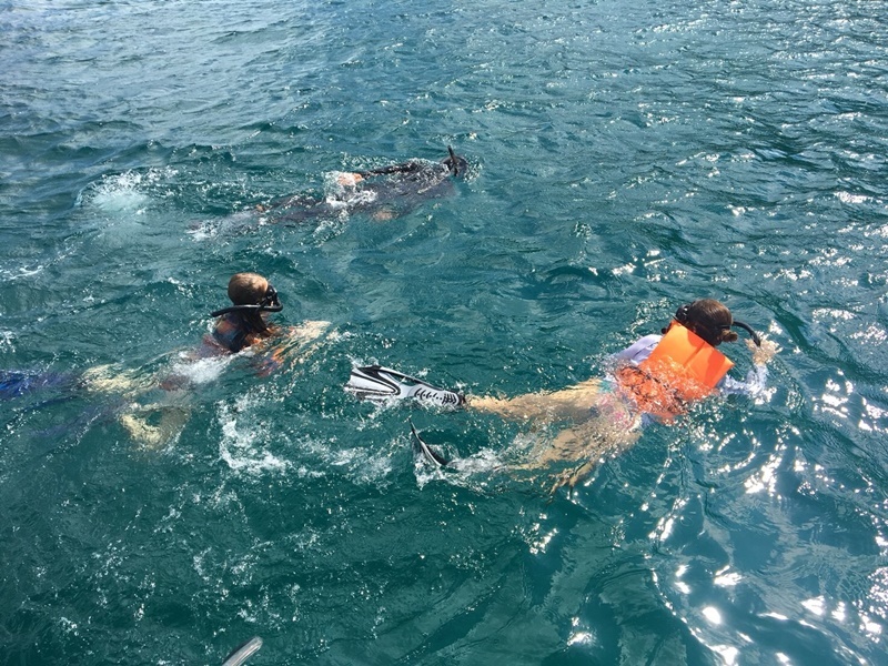 Snorkel Picture-Perfect Koh Tao & Koh Nangyuan by SB