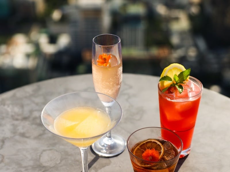 Sundowner Drink & Dining in the Shadows