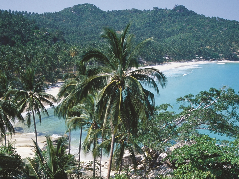 Sunset Dinner Cruise by The Red Baron