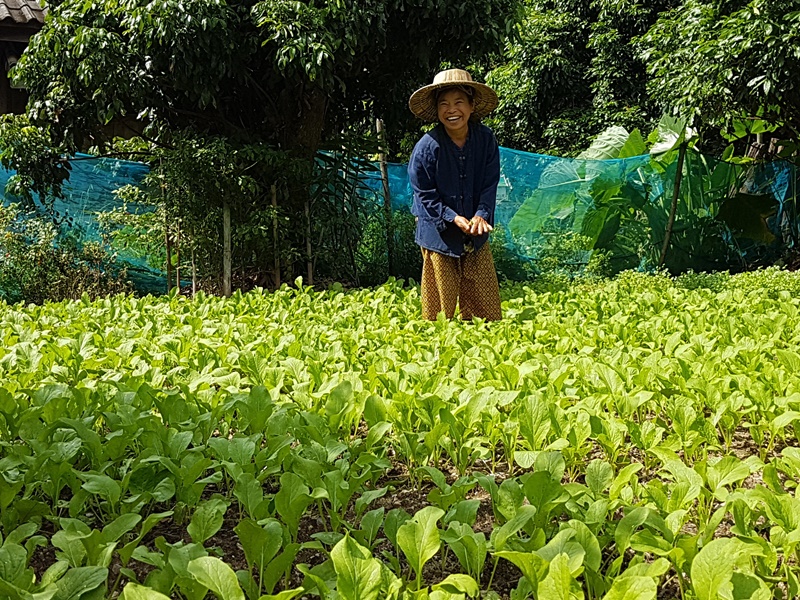 Sustainable Living Experience