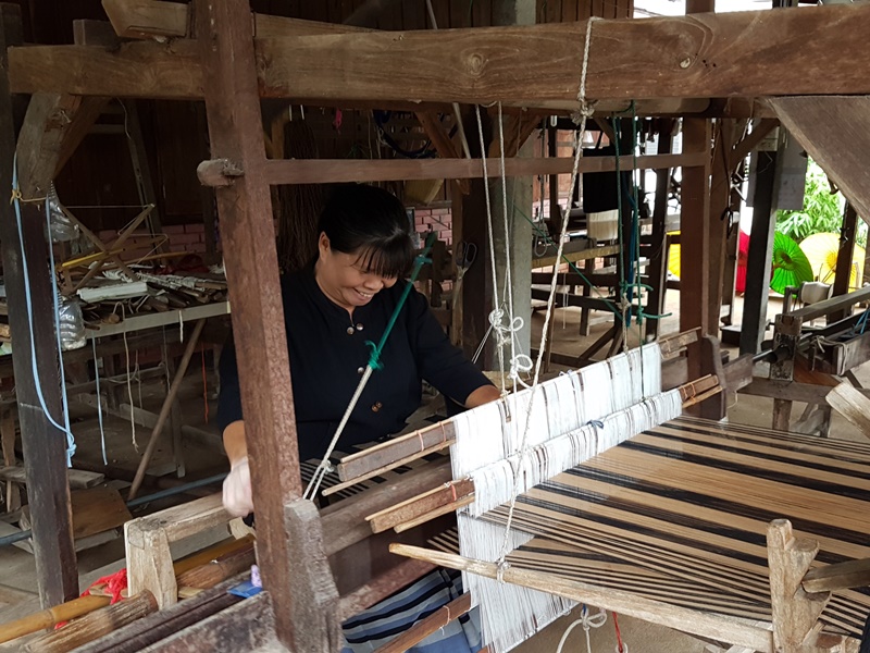 Sustainable Living Experience