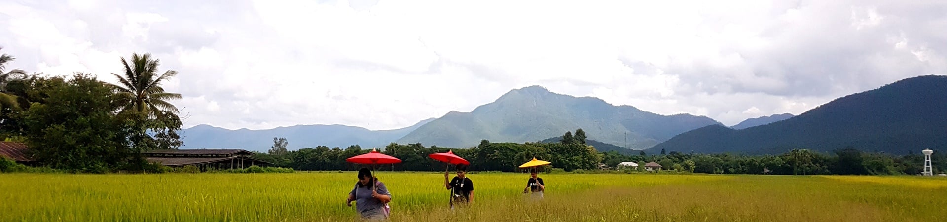 Image of Sustainable Living Experience