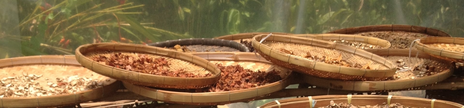 Image of Thai for a Day (Private Tour, Incl.Trsf)