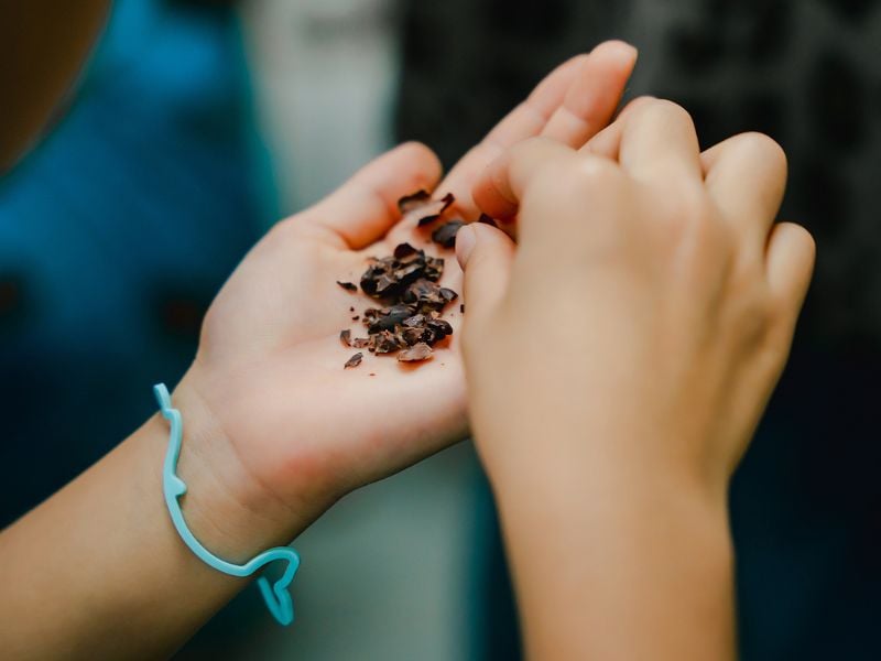 The Art and Craft of Artisan Chocolate