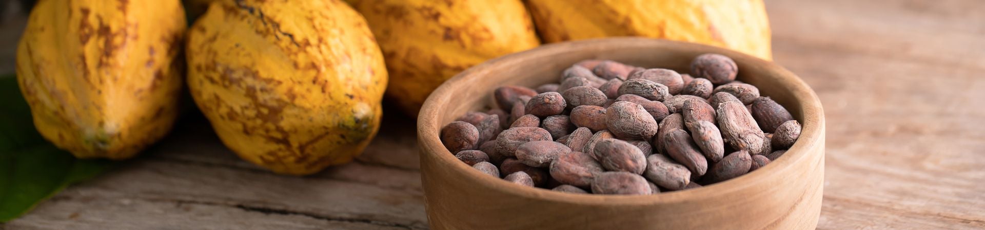 Image of The Art and Craft of Artisan Chocolate