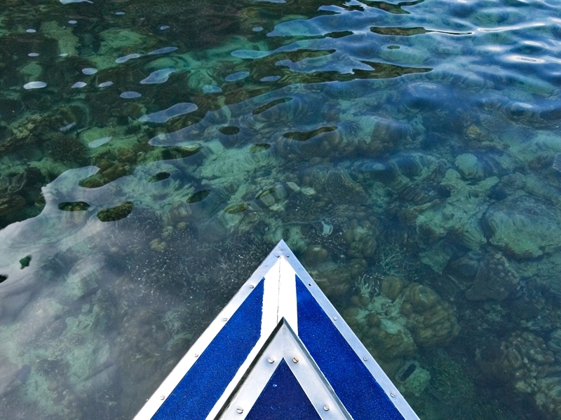 The Emerald Pool and Jungle Spa Experience